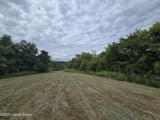 Listing Image 38