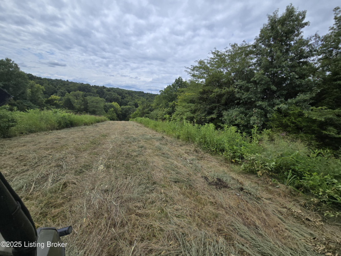 Listing Image 39