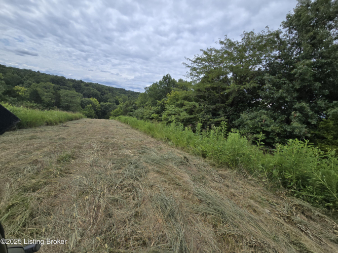 Listing Image 40