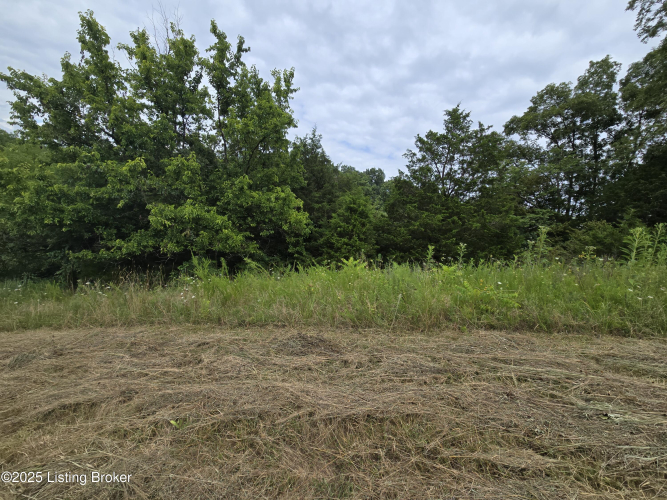 Listing Image 42