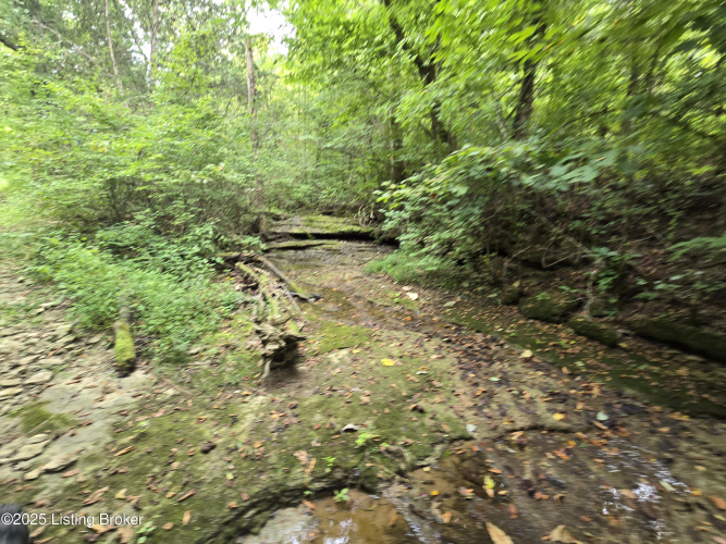 Listing Image 43