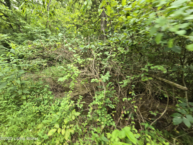 Listing Image 44