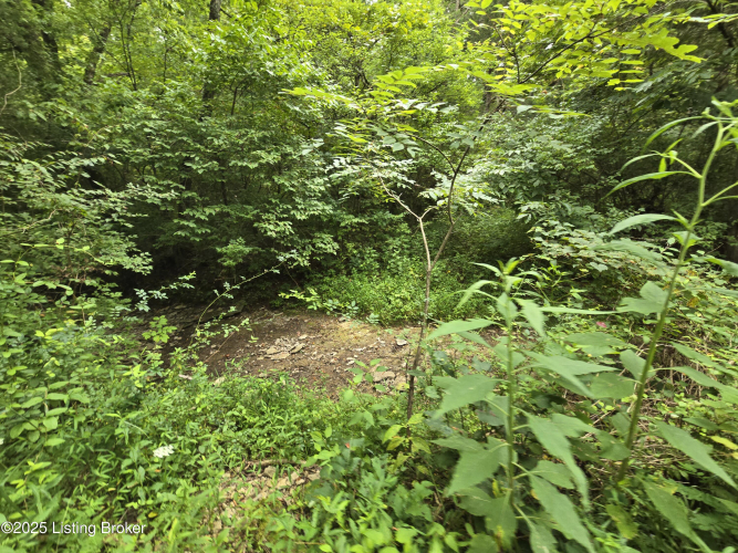 Listing Image 45