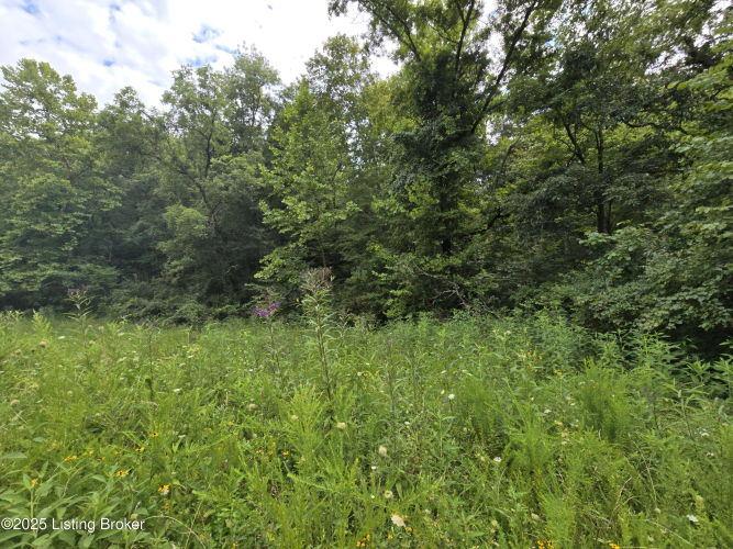 Listing Image 46