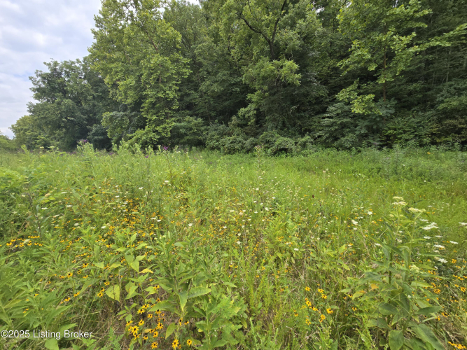 Listing Image 47