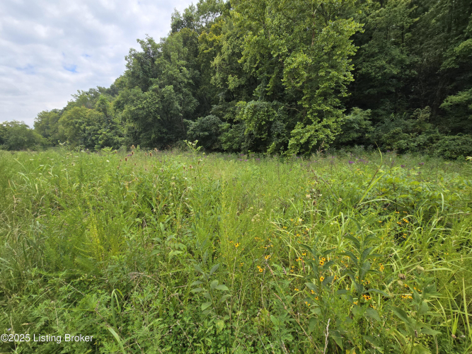 Listing Image 48