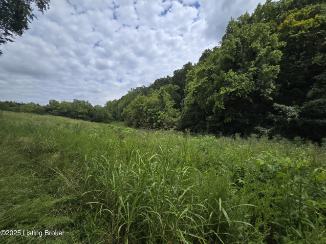 Listing Image 49