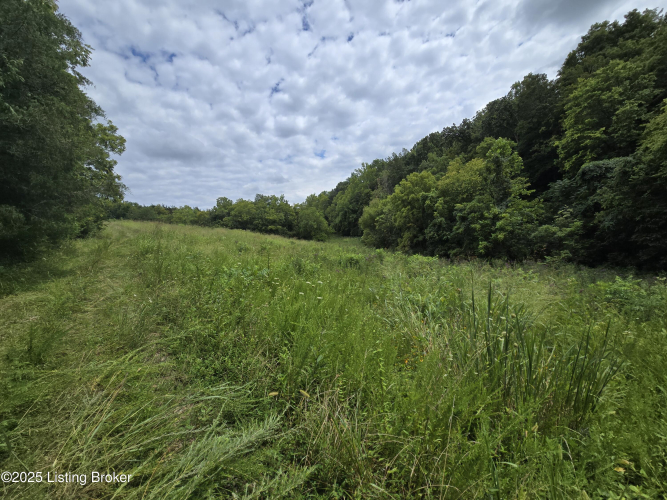 Listing Image 50