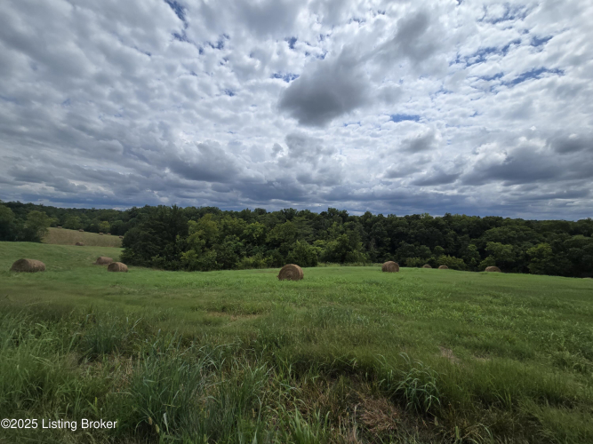 Listing Image 52