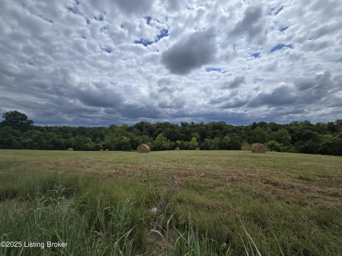 Listing Image 53