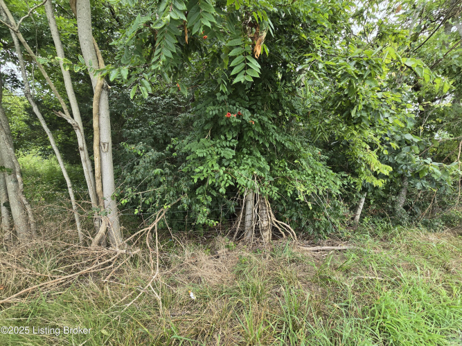 Listing Image 54