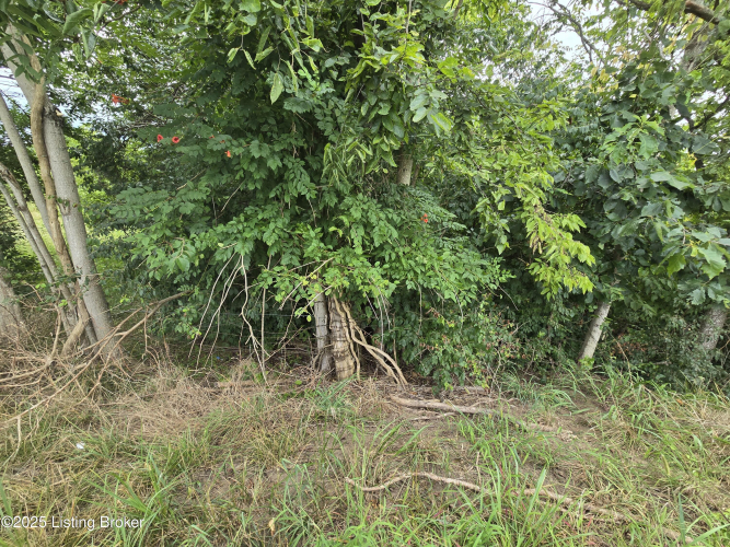 Listing Image 55
