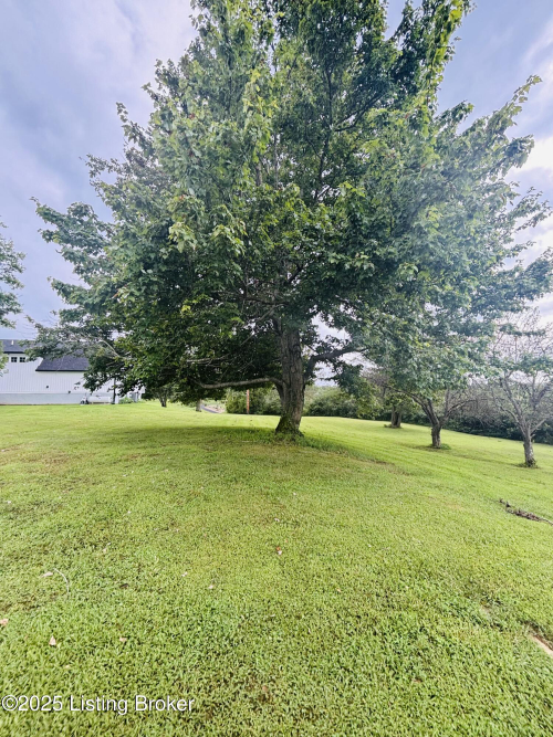 Listing Image 48
