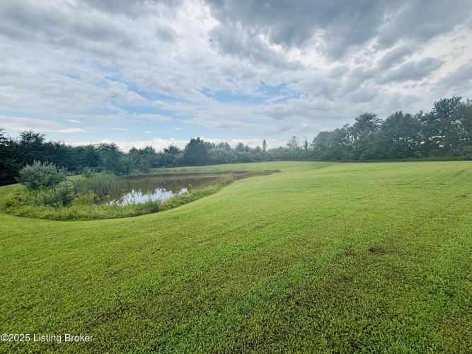 Listing Image 49