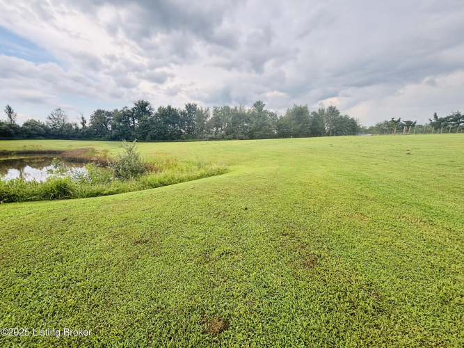 Listing Image 52