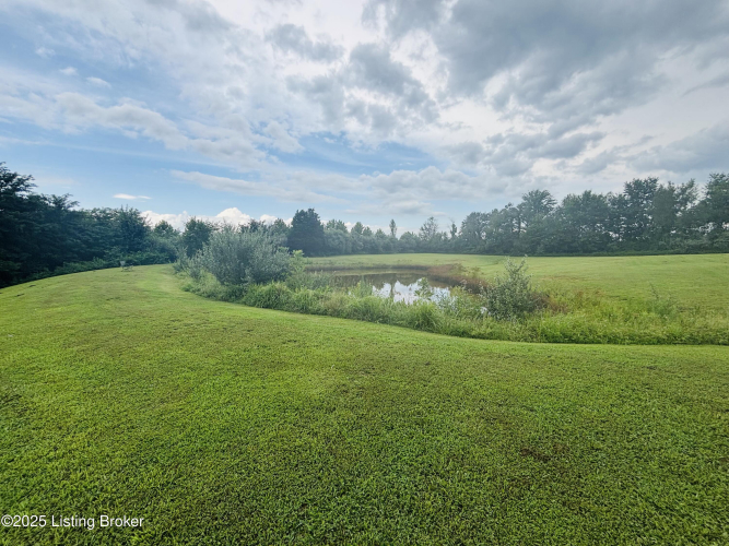 Listing Image 53