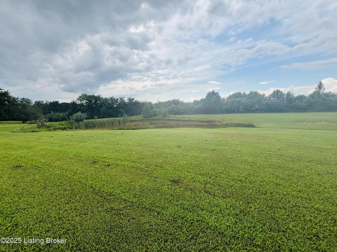 Listing Image 54