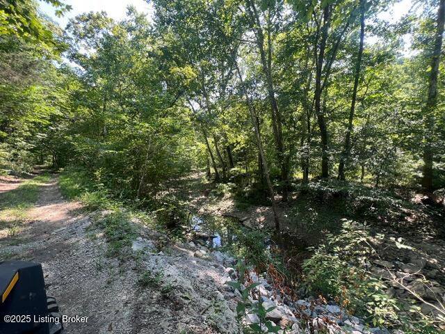 Listing Image 95