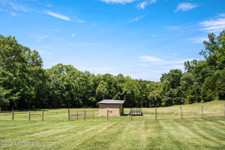 Listing Image 85