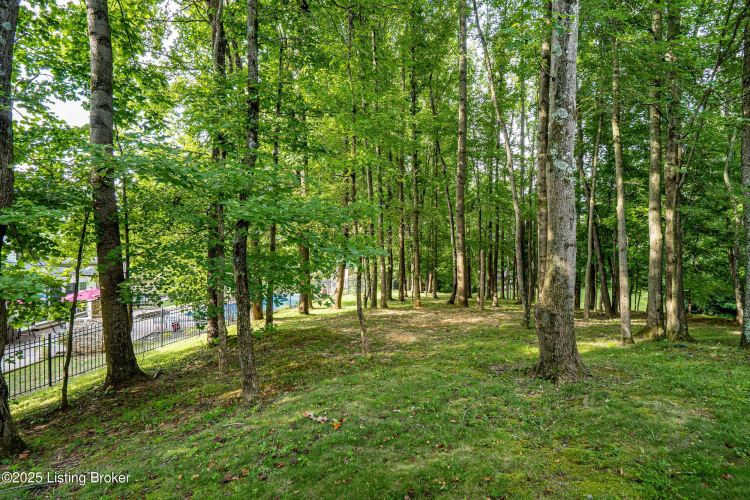 Listing Image 64