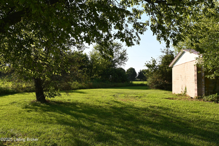 Listing Image 23