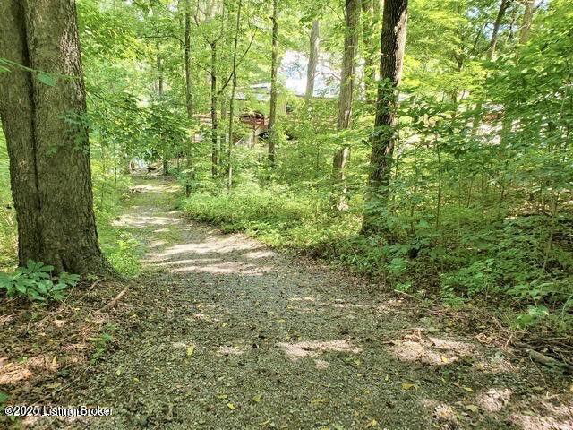 Listing Image 89