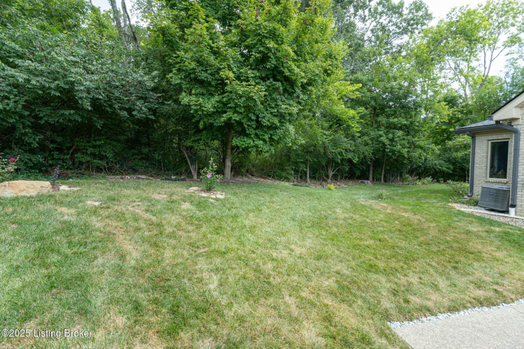 Listing Image 77