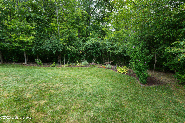 Listing Image 79