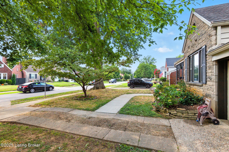 Listing Image 50
