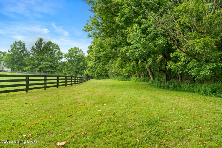 Listing Image 52