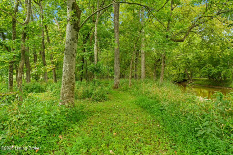 Listing Image 59