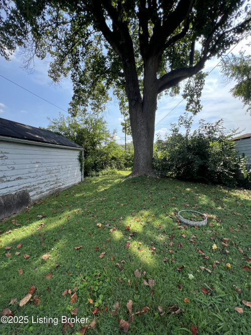 Listing Image 37