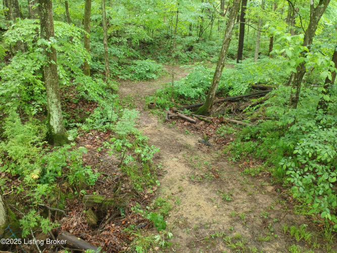 Listing Image 63
