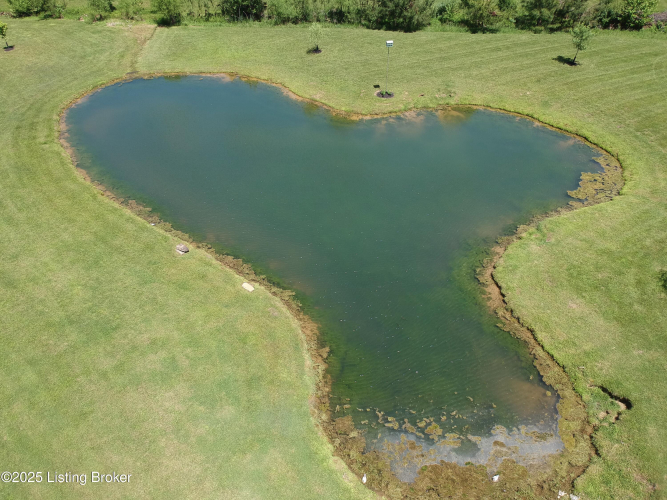 Listing Image 64