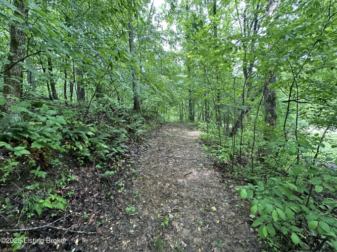 Listing Image 68
