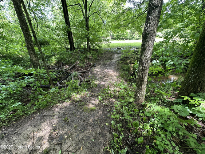 Listing Image 69