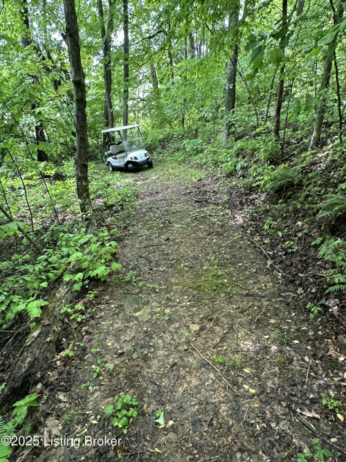 Listing Image 70