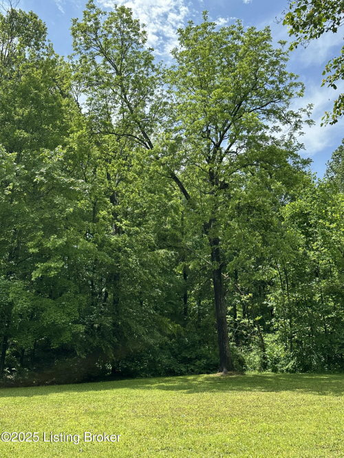 Listing Image 73