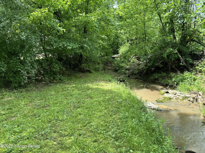 Listing Image 74