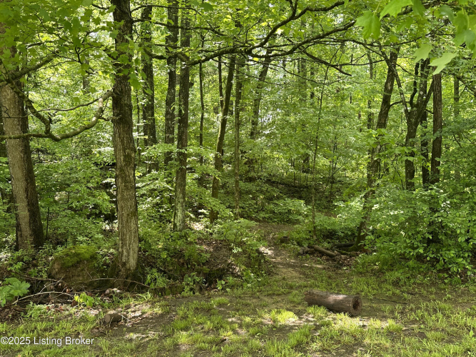 Listing Image 75