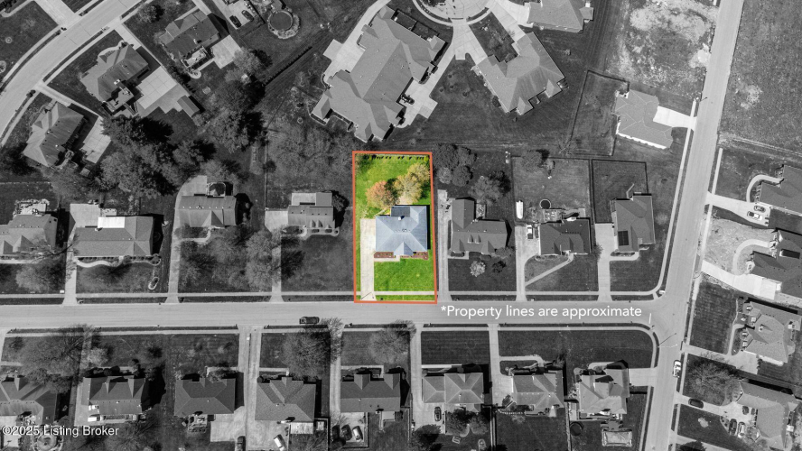 Listing Image 54