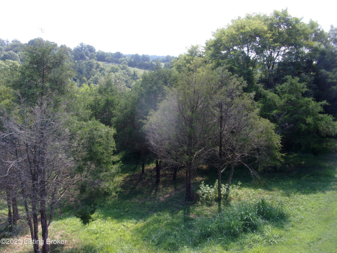 Listing Image 37
