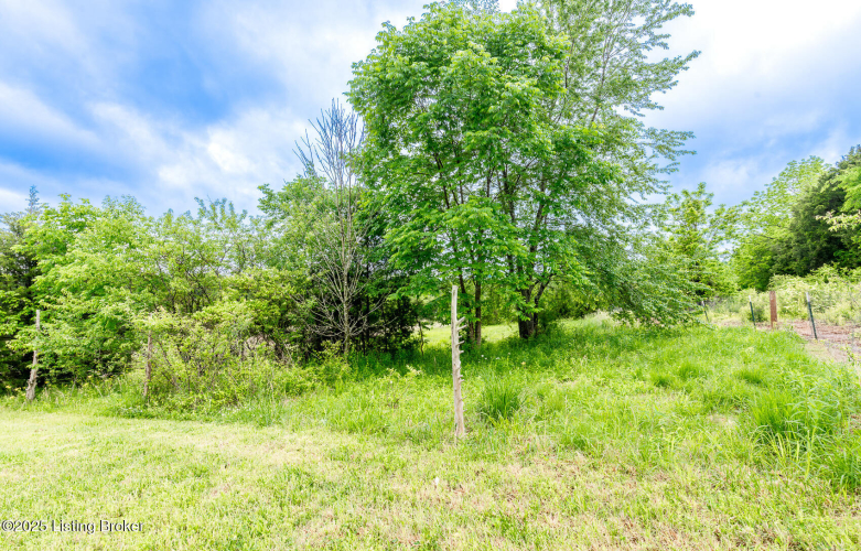 Listing Image 57