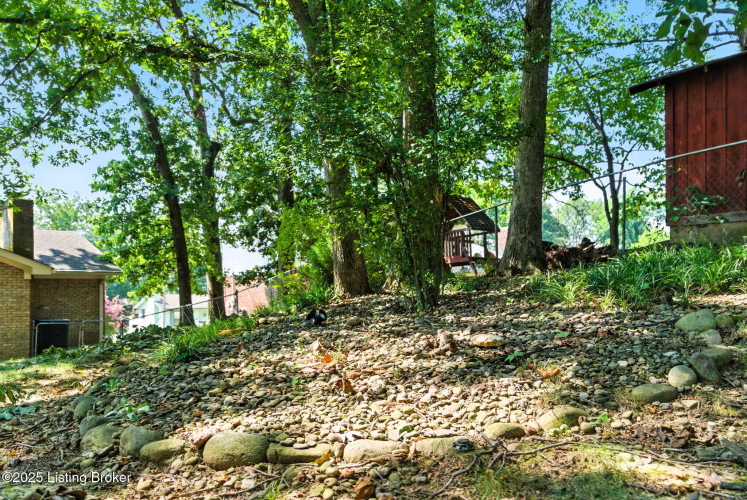Listing Image 15