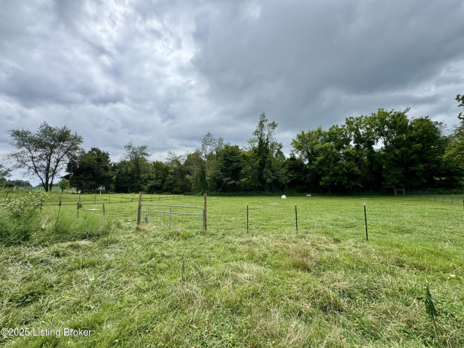 Listing Image 50