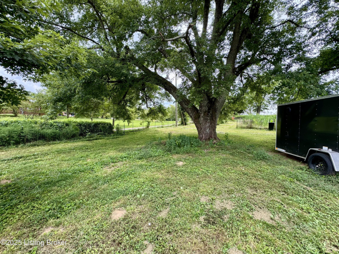 Listing Image 62