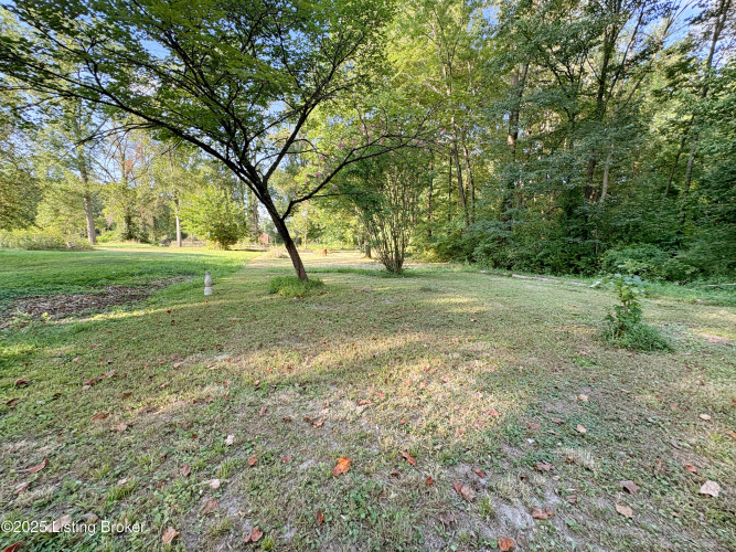 Listing Image 50