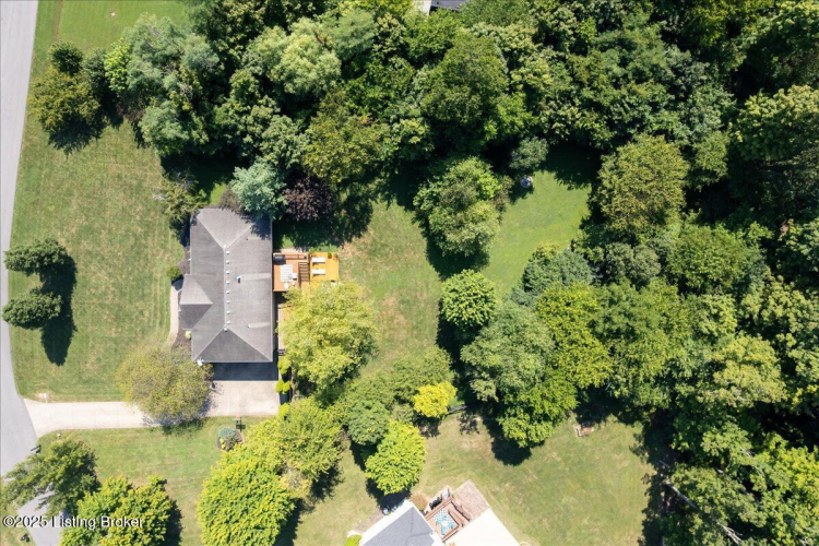 Listing Image 46