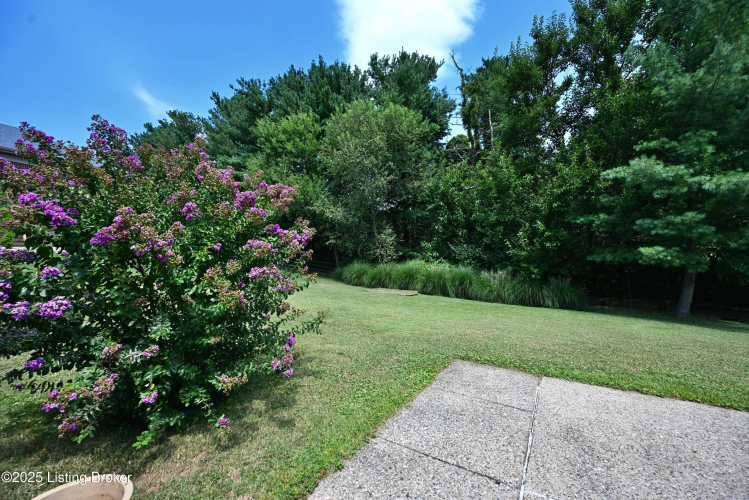 Listing Image 52