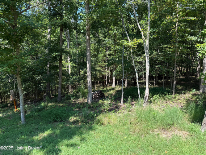 Listing Image 115